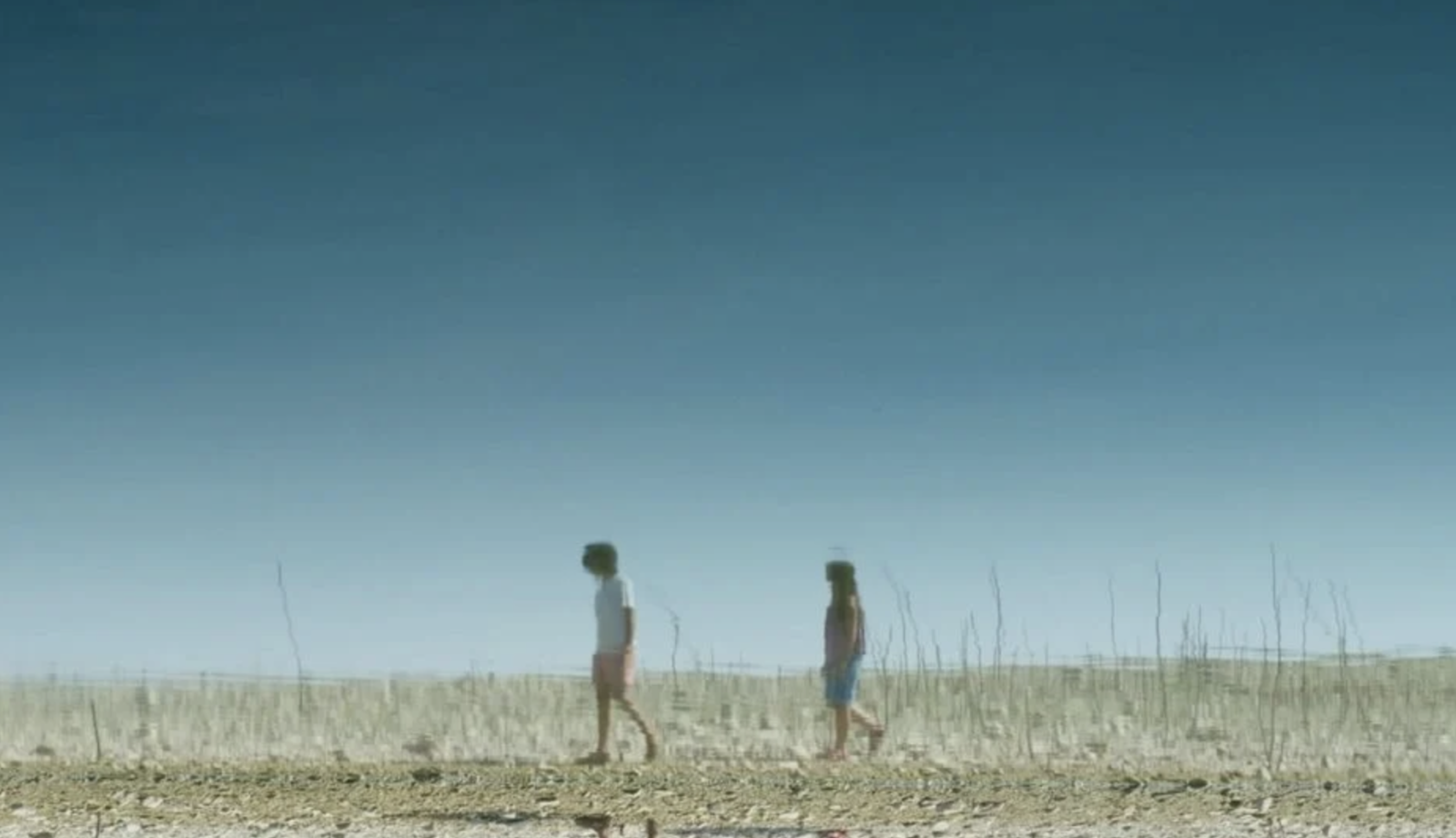 The Summer That Ended Twice